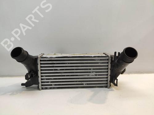 Used Intercooler Intercooler FORD FIESTA VII (HJ, HF) 1.0 EcoBoost (95 hp) 34486131 34486131