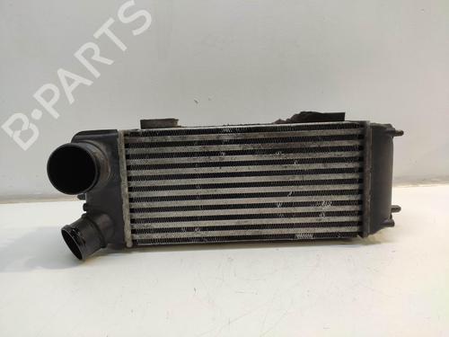 Used Intercooler Intercooler FORD FIESTA VI (CB1, CCN) [2008-2026] 34486203 34486203