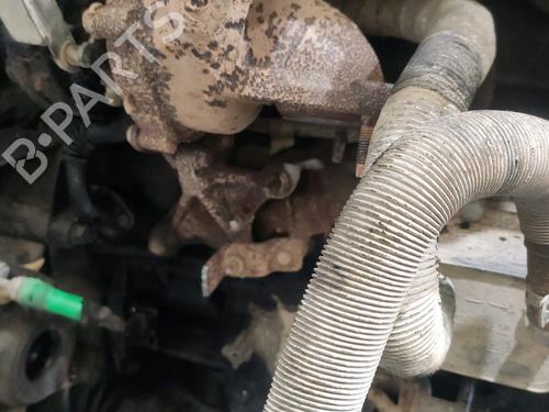 Engine FORD TRANSIT CONNECT (P65_, P70_, P80_)  | BP28036352M1 