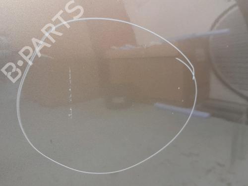 Right front door RENAULT GRAND SCÉNIC II (JM0/1_)  | BP27437559C3 