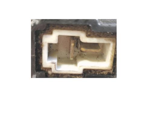 Heater blower motor KIA VENGA (YN)  | BP24601531M62 