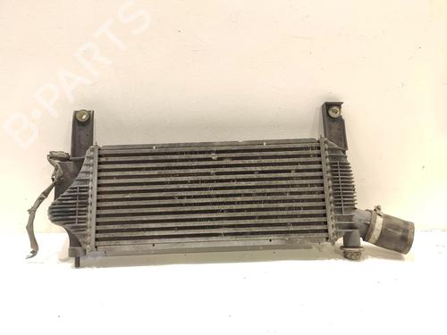 Intercooler NISSAN PATHFINDER III (R51)  | BP19685465M30 