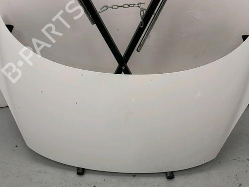 Used Hood Hood RENAULT SCÉNIC III (JZ0/1_) 1.5 dCi (110 hp) 33978647 33978647