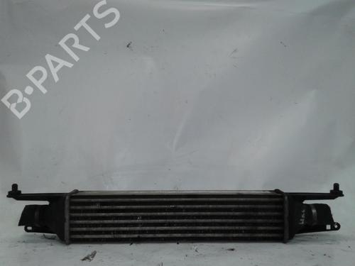 Intercooler Intercooler FIAT GRANDE PUNTO (199_) 1.3 D Multijet (75 hp) 34481644 34481644