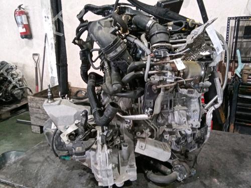 Engine NISSAN MICRA V (K14)  | BP17697384M1 