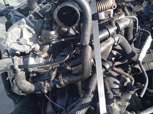 Motor FIAT STILO Multi Wagon (192_) 1.9 JTD | BP19049798M1 