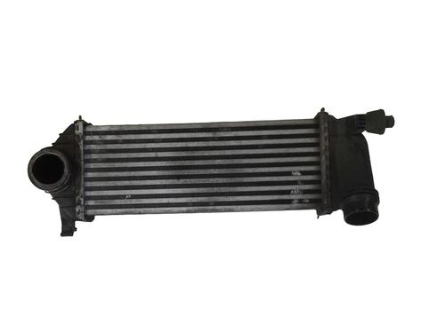 Intercooler Intercooler RENAULT KANGOO Express (FW0/1_) 1.5 dCi 75 (FW07, FW10, FW04) (75 hp) 34551365 34551365