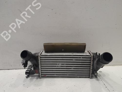 Used Intercooler Intercooler FORD ECOSPORT 1.0 EcoBoost (125 hp) 34489969 34489969