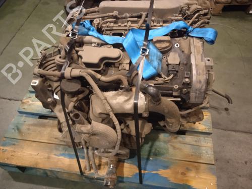 Starter SEAT LEON (1M1) | BP38076651M8 - Image 4