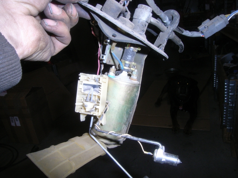 1990 Toyota Celica Fuel Pump ~ Best Toyota