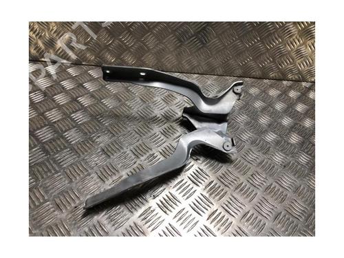 Hinge/Door check strap NISSAN QASHQAI I (J10, NJ10) 2.0 All-wheel Drive | BP25710467C146 