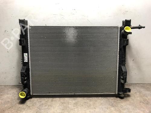 Køler DACIA SANDERO II TCe 90 (B8M1, B8MA, B8AC) (90 hp) 20294959