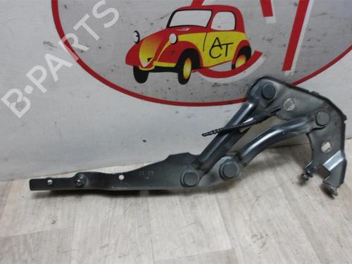 Hinge/Door check strap AUDI A1 (8X1, 8XK) 1.6 TDI | BP13261098C146