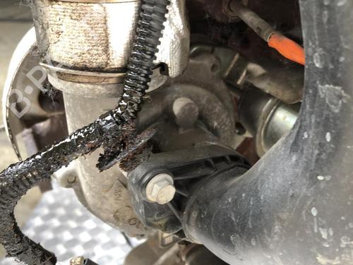 Engine RENAULT CLIO IV (BH_) 1.5 dCi 75 | BP31199996M1 