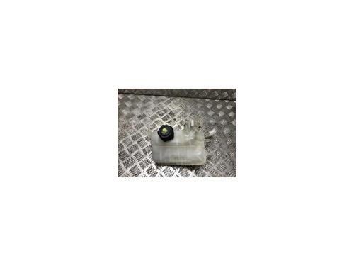 Used Expansion tank RENAULT SCÉNIC III (JZ0/1_) 1.5 dCi (110 hp) 27610517