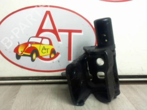 Hinge/Door check strap RENAULT CLIO III (BR0/1, CR0/1) 1.6 16V (BR05, BR0B, BR0Y, BR15, BR1J, BR1M, BR1Y, CR0B,... | BP13227711C146 