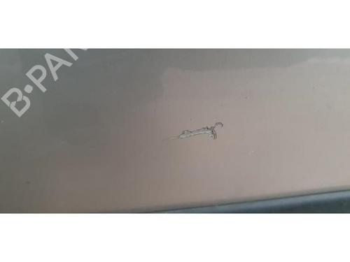 Left front door SUZUKI SX4 (EY, GY) 2.0 DDiS 4x4 (RW420D) | BP30784531C2