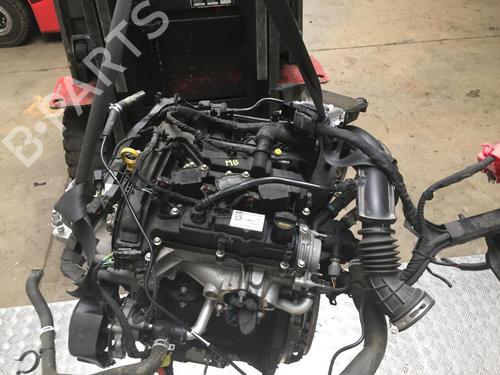 Engine FORD FIESTA VII (HJ, HF) 1.1 Ti-VCT | BP25441329M1 