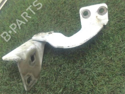 Hinge/Door check strap RENAULT KANGOO Express (FC0/1_) 1.5 dCi (FC1R) | BP13134734C146 