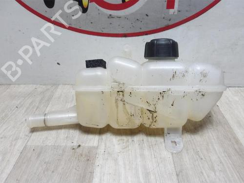 Expansion tank RENAULT SCÉNIC IV (J9_) 1.5 dCi 110 | BP23034031C120