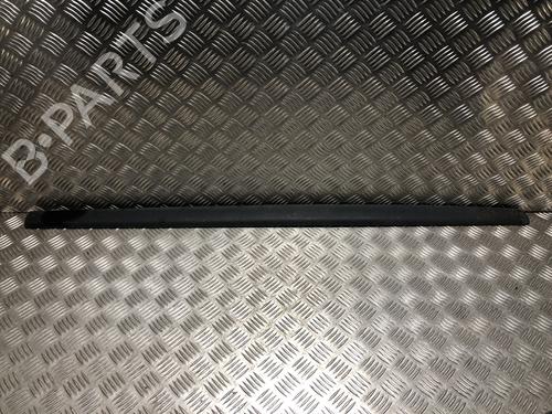 door-moulding-trim-renault-twingo-ii-cn0_-2007-33976568 main image