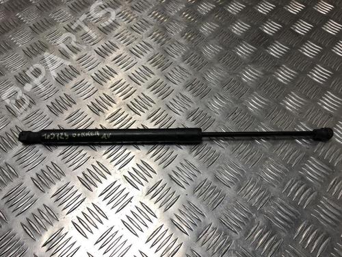 Used Hood lift support DACIA DOKKER MPV (KE_) 1.5 dCi (KEAJ, KEAH) (90 hp) 23879034