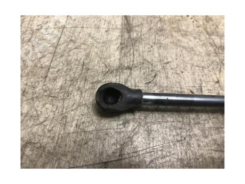 Tailgate lift support RENAULT CLIO V (B7_) 1.3 TCe 130 (B7MF) | BP20634024C138 