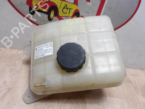 Used Expansion tank SSANGYONG KYRON 2.0 Xdi (141 hp) 13274161