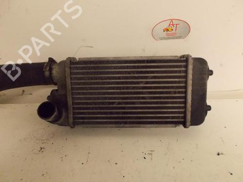 Used Intercooler SUZUKI LIANA Hatchback 1.4 DDiS (90 hp) 24968901