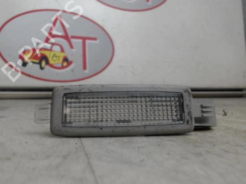 Used Licence plate light RENAULT LAGUNA II (BG0/1_) 1.9 dCi (BG13) (125 hp) 12967295
