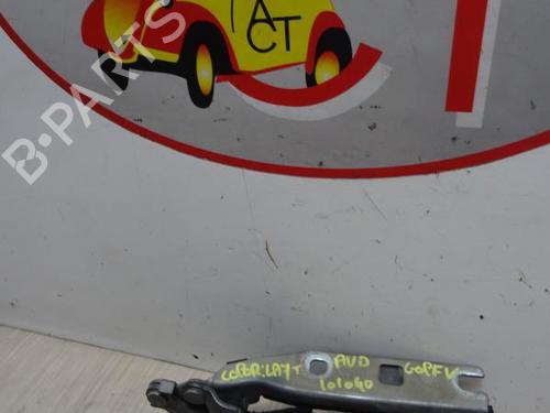 Used Hinge/Door check strap VW GOLF V (1K1) 1.9 TDI (105 hp) 27176976