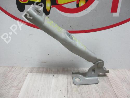 Used Hinge/Door check strap CITROËN C3 II (SC_) 1.6 VTi 120 (120 hp) 13129547