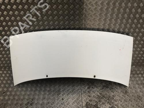 Used Hood Hood CITROËN JUMPY I (U6U_) 1.9 D (69 hp) 40623441 40623441