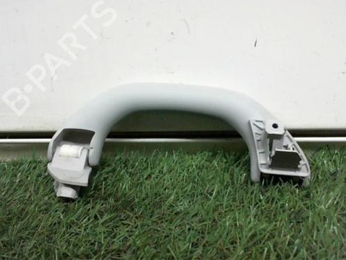 Interior roof handle VW GOLF V (1K1) 1.9 TDI | BP13264289I35 