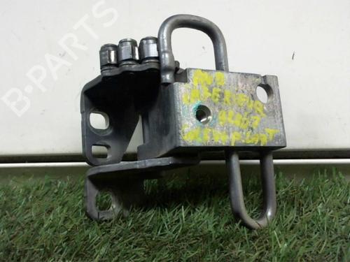 Hinge/Door check strap VW GOLF PLUS V (5M1, 521) 1.9 TDI | BP24869425C146 