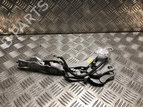 BP31186156C146 main image