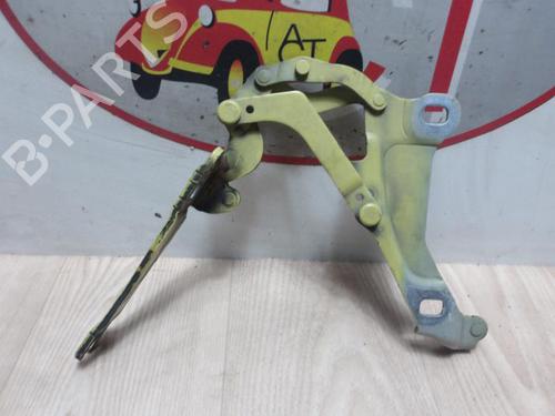 Used Hinge/Door check strap MINI MINI (R56) One (75 hp) 13263755