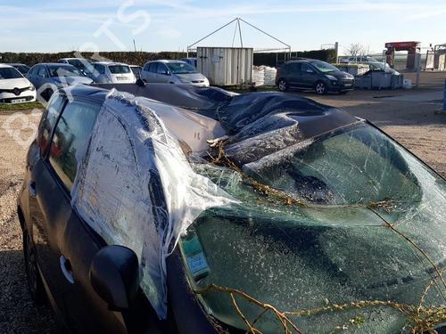 Wheel arch RENAULT SCÉNIC III (JZ0/1_) 1.9 dCi (JZ0J, JZ1J, JZ1K, JZ1S) | BP32342016C56 