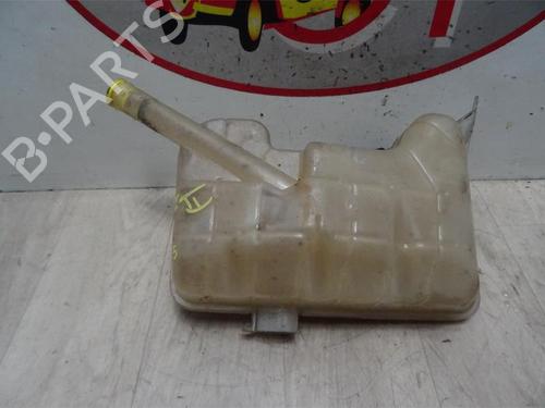 Expansion tank RENAULT MEGANE II Coupé-Cabriolet (EM0/1_) 1.5 dCi (EM1E) | BP13273979C120 