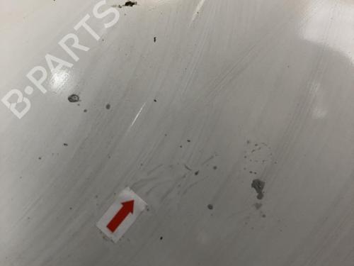 Hood RENAULT KANGOO Express (FC0/1_) 1.2 (FC01, FC0A, FC0F) | BP31244623C1 