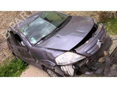 Hinge/Door check strap CITROËN C3 I (FC_, FN_) 1.4 HDi | BP13266641C146 