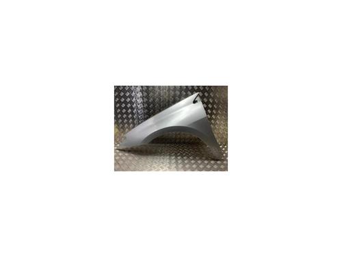 Used Left front fenders RENAULT LAGUNA III (BT0/1) 2.0 dCi (BT0M, BT0N, BT0S, BT19, BT1F) (173 hp) 24037202