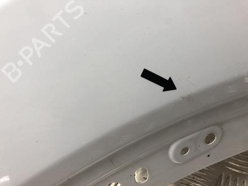 Left front fenders FORD TRANSIT V363 Van (FCD, FDD) 2.2 TDCi | BP25141831C41