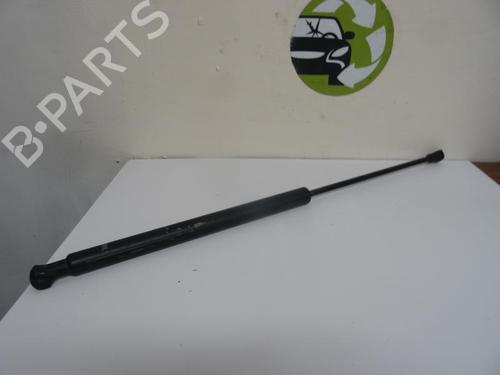 Used Tailgate lift support PEUGEOT 207 (WA_, WC_) 1.4 HDi (68 hp) 23869892