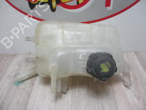 Used Expansion tank RENAULT SCÉNIC III (JZ0/1_) 1.9 dCi (JZ0J, JZ1J, JZ1K, JZ1S) (131 hp) 13273915
