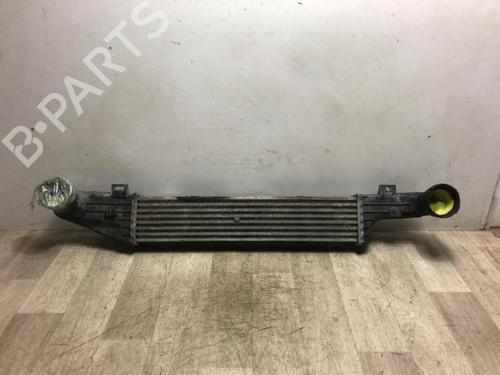 Used Intercooler MERCEDES-BENZ E-CLASS (W210) E 200 CDI (210.007) (102 hp) 20622269