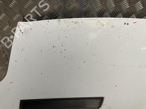 Capot RENAULT TRAFIC II Van (FL) 2.0 dCi 115 (FL01, FL0U, FL00, FL0H, FL0M) | BP31360762C1