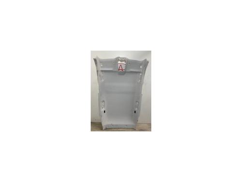 Used Interior roof PEUGEOT 2008 II (UD_, US_, UY_, UJ_, UR_, UC_) 1.5 BlueHDI 130 (131 hp) 13277545