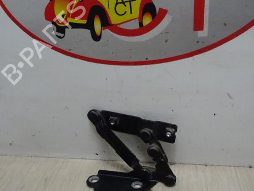 Used Hinge/Door check strap SEAT ALTEA (5P1) 1.9 TDI (105 hp) 23067580