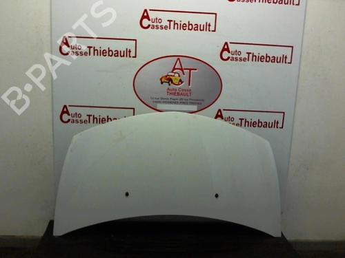 Used Hood RENAULT CLIO III (BR0/1, CR0/1) 1.5 dCi (75 hp) 22808759